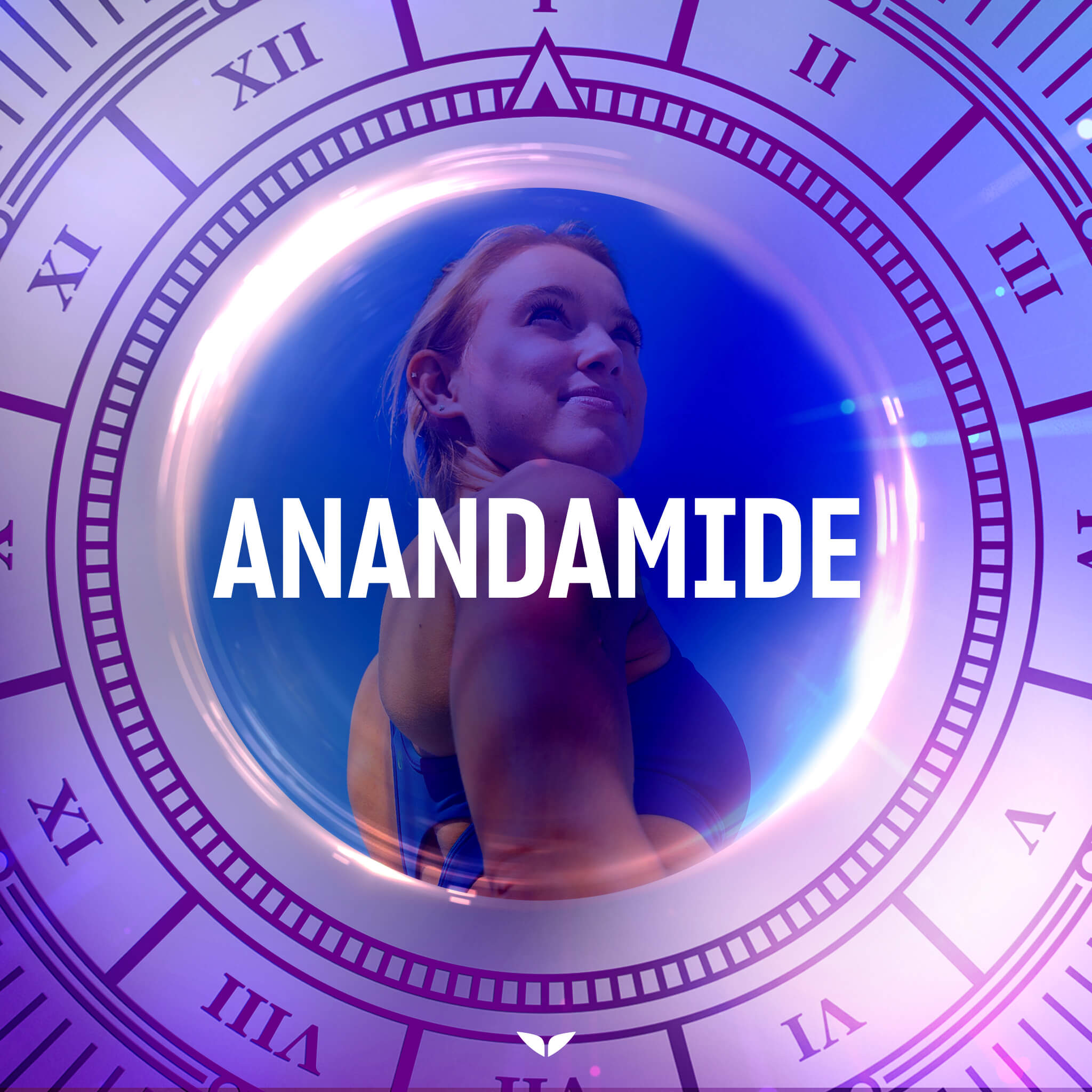 Anandamide Meditation