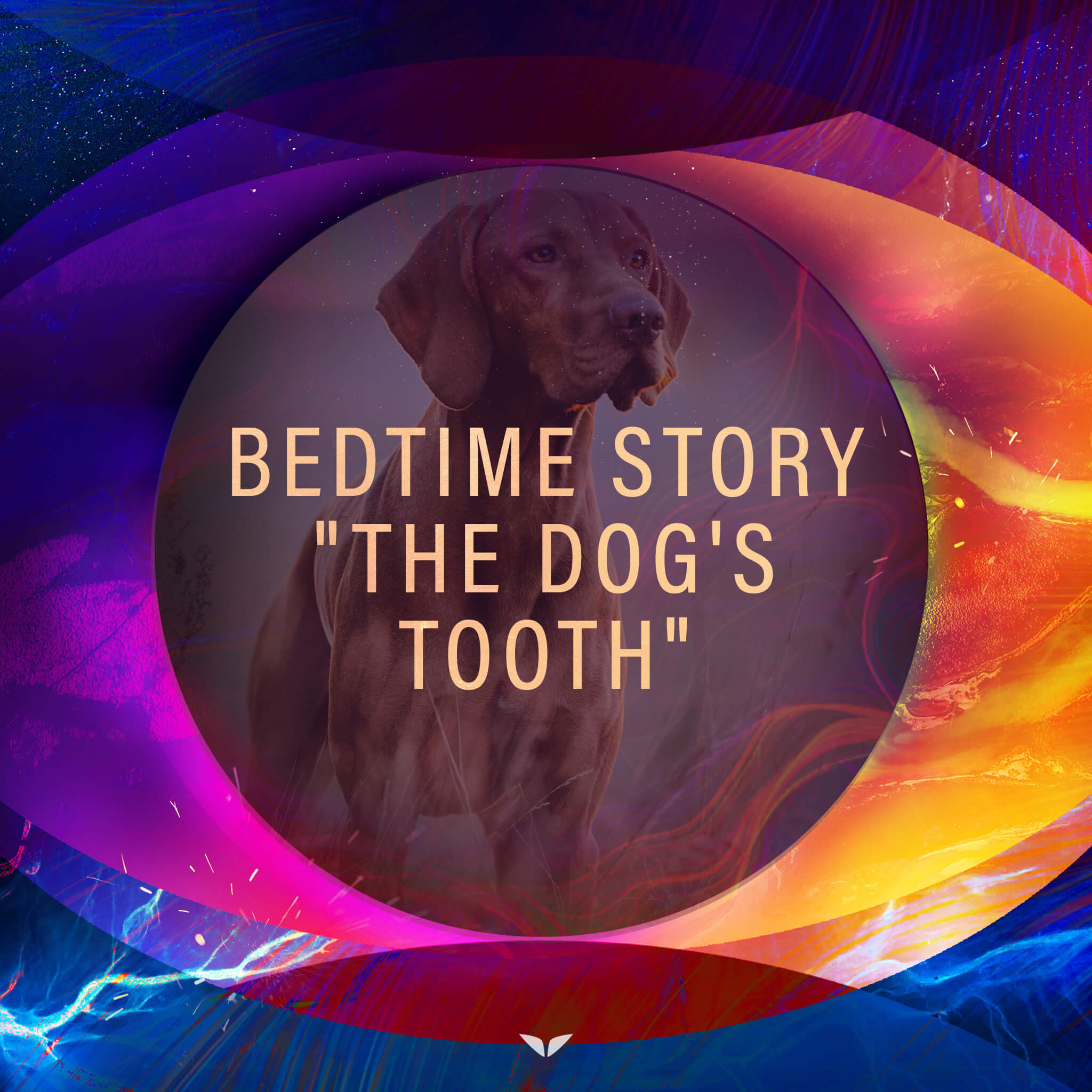 Bedtime Story: “The Dog's Tooth”