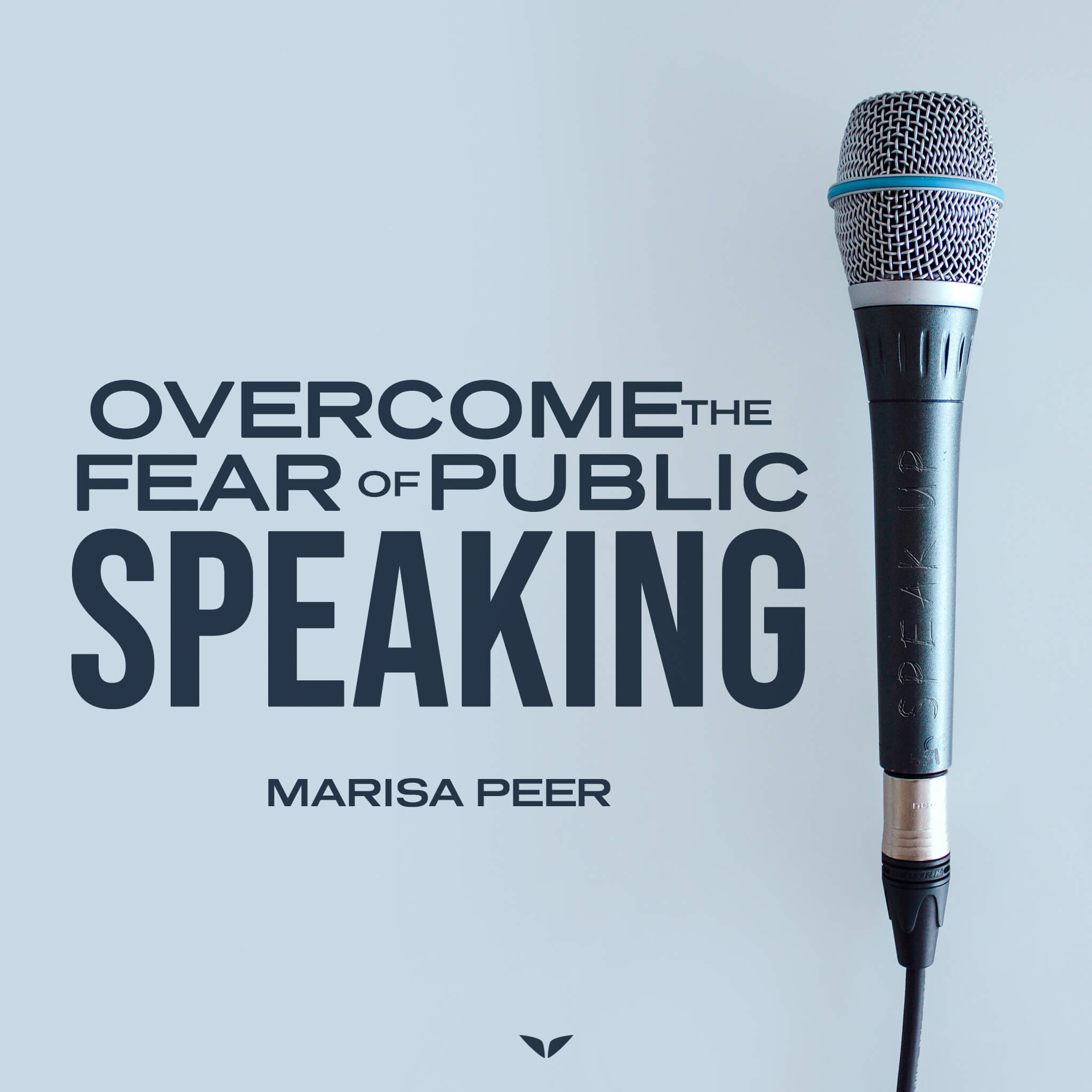 Bonus: Overcome Fear Of Public Speaking