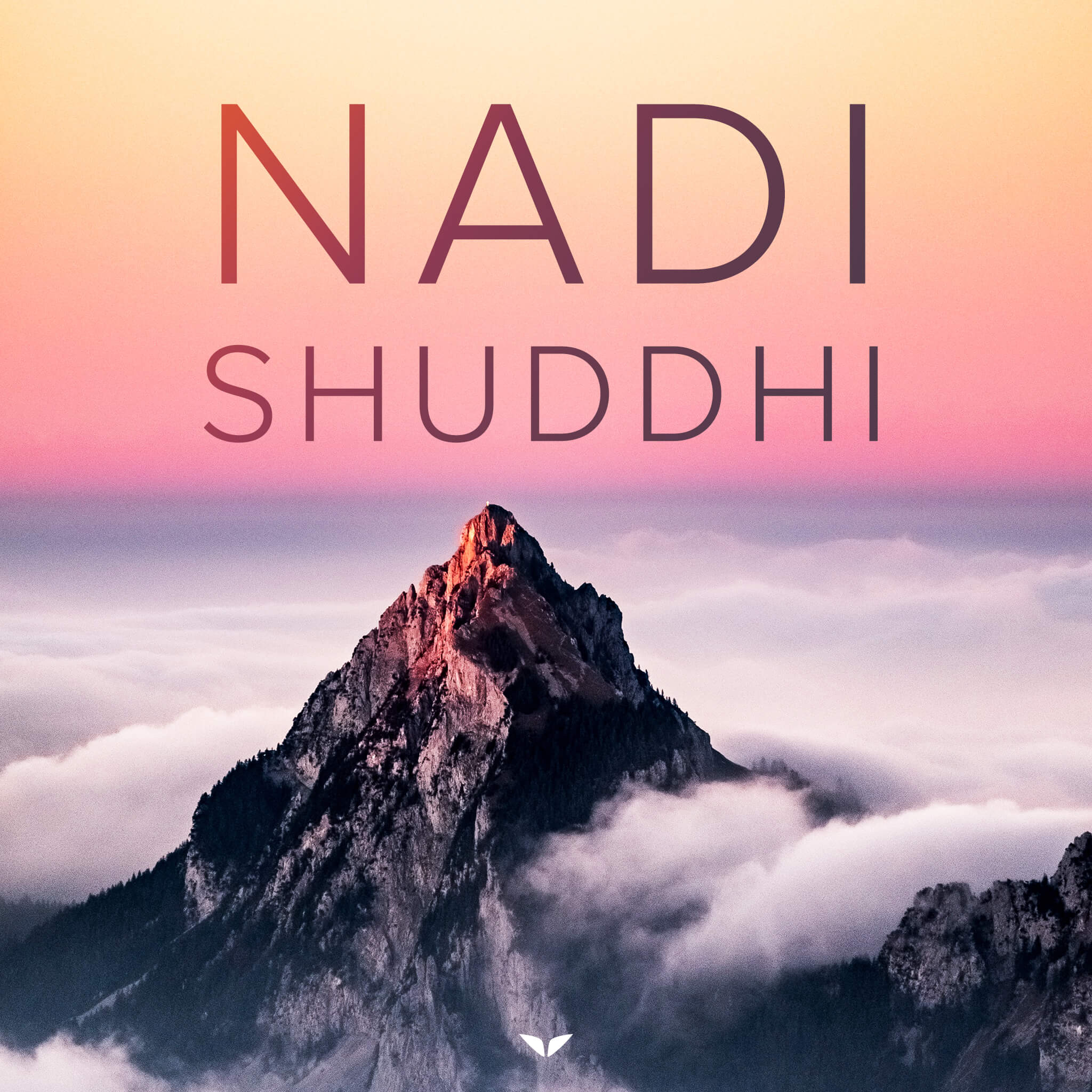 Nadi Shuddhi