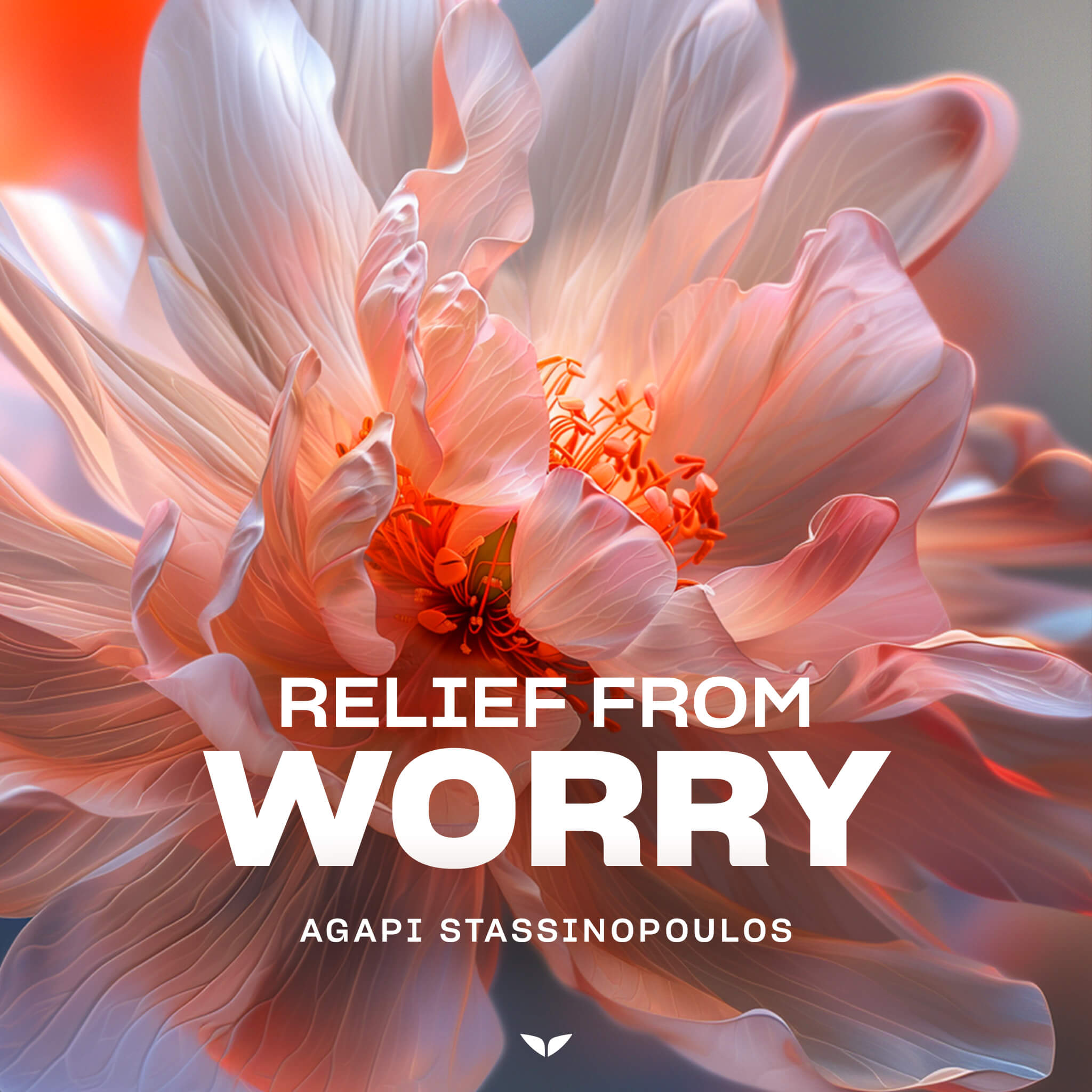 Relief From Worry