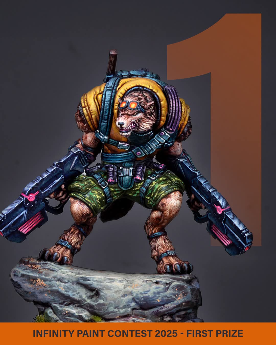 Image Failed to Load