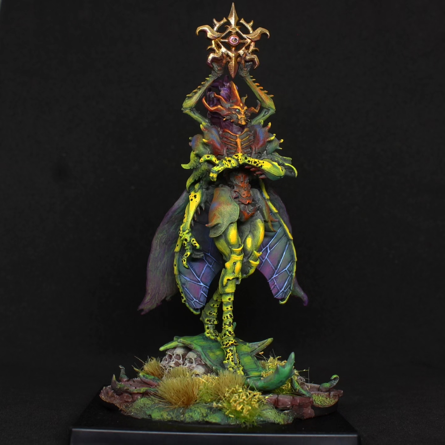 Image Failed to Load