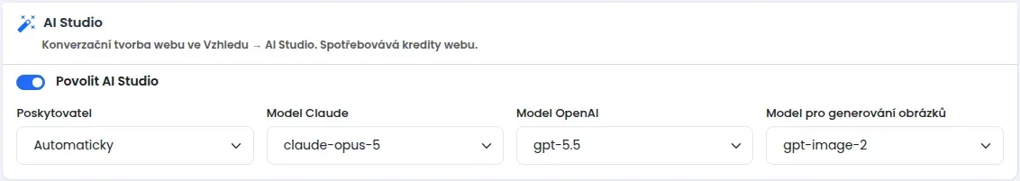 Část AI Studio s přepínačem Povolit AI Studio a výběrem poskytovatele a modelů
