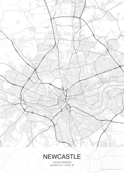 Newcastle map poster