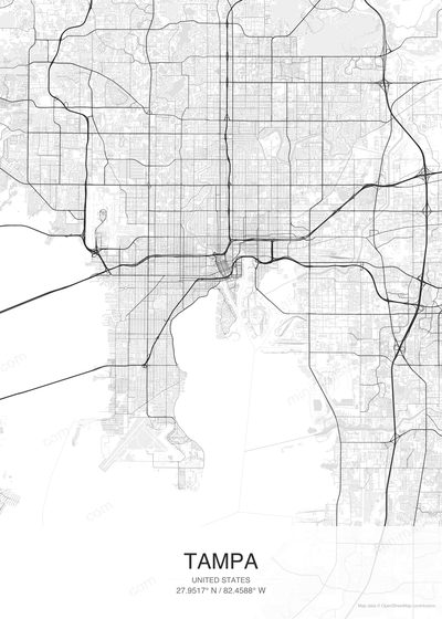 Tampa map poster