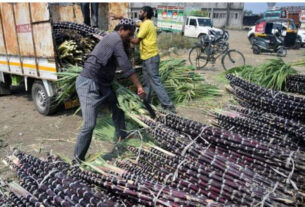 annamalai welcomes sugarcane msp central government