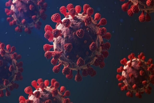 spread of viral diseases in tamilnadu