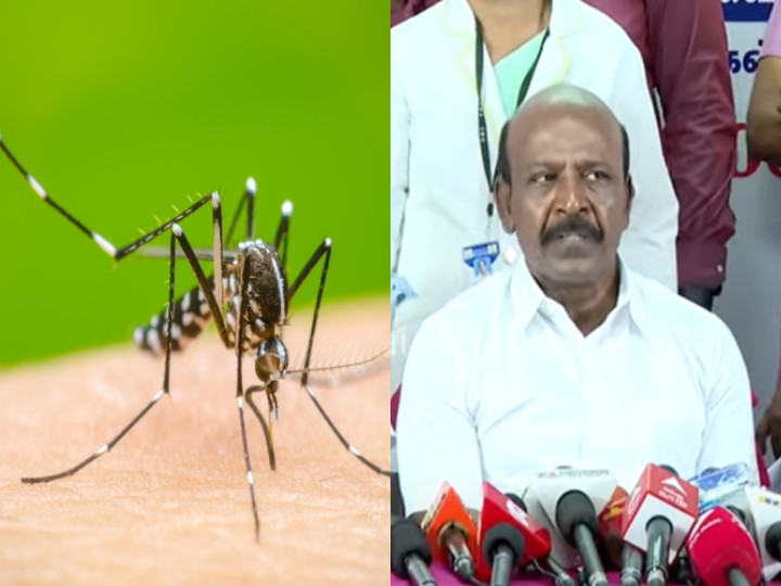 dengue fever spread extends till december