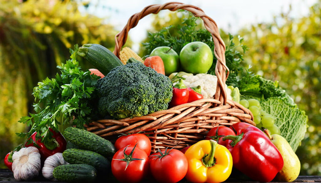 What is the right food for us