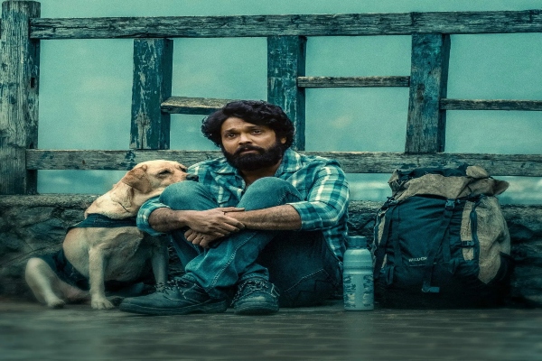 imdb top 10 movies list is out now