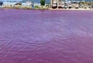 River water in Japan turned blood red