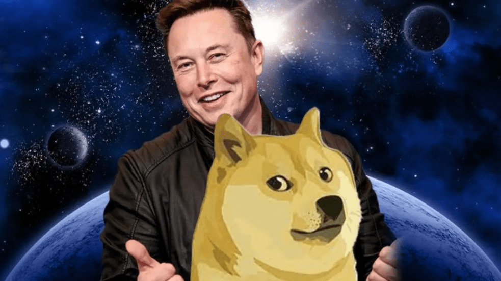 elon musk changed twitter logo as cheems