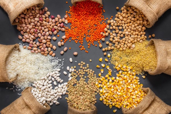 Are small grains suitable for everyone