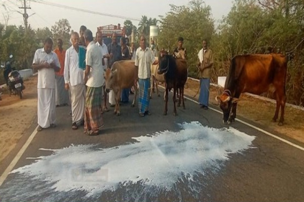 dairy producers protest from today march 17 2023