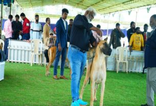 dogs exhibition in ooty