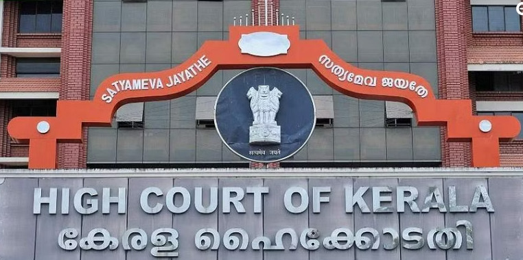 Daughters protecting fathers Kerala girl wins legal battle