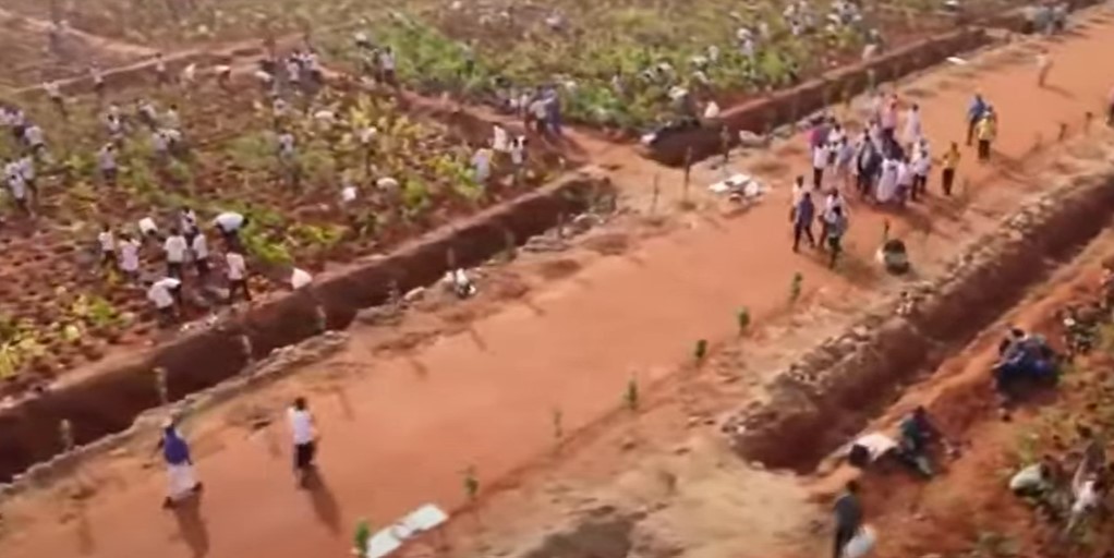 Tamil Nadu World Record Planting 6 lakh saplings in 6 hours