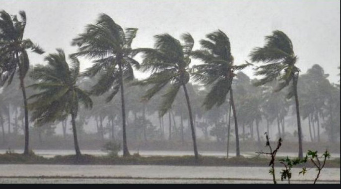 tamilnadu heavy rain in 11 districts