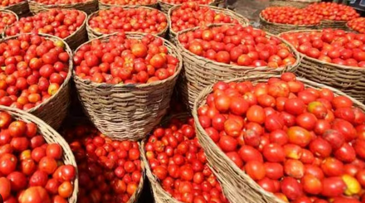 tomato price hike reason