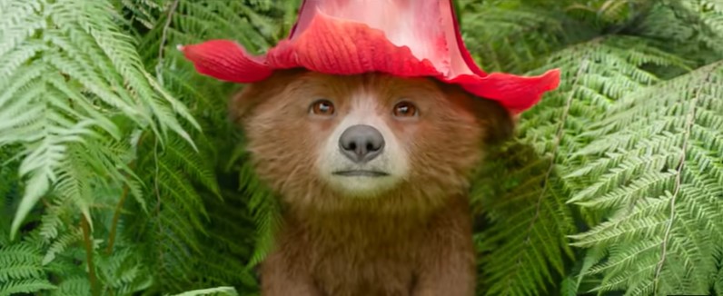 Paddington in Peru movie