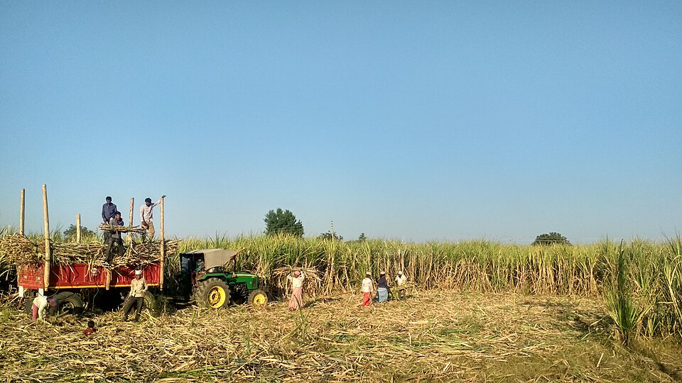 ramadoss urge to increase sugarcane