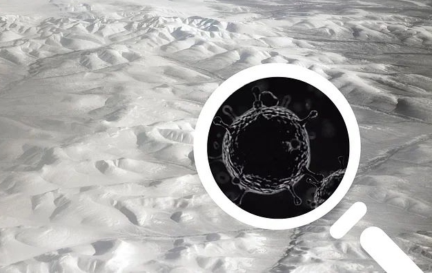 Zombie virus that was frozen for 48500 years
