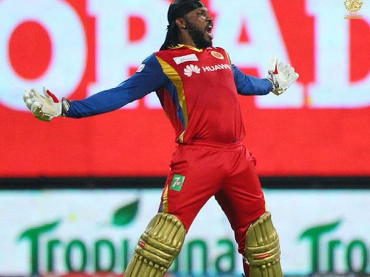 Here is some interesting information about IPL