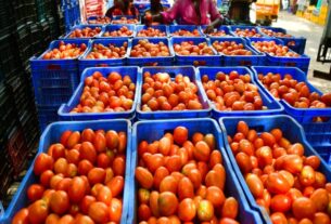 Tomato Price at purchase Rate