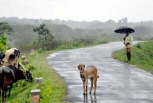 weather Update rain in 8 districts today