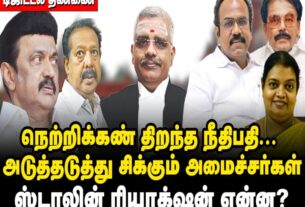 justice anand venkatesh against ministers release