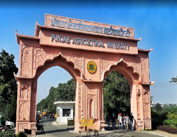 VC post was sold for Rs 40-50 crores in Tamil Nadu - Banwari Lal
