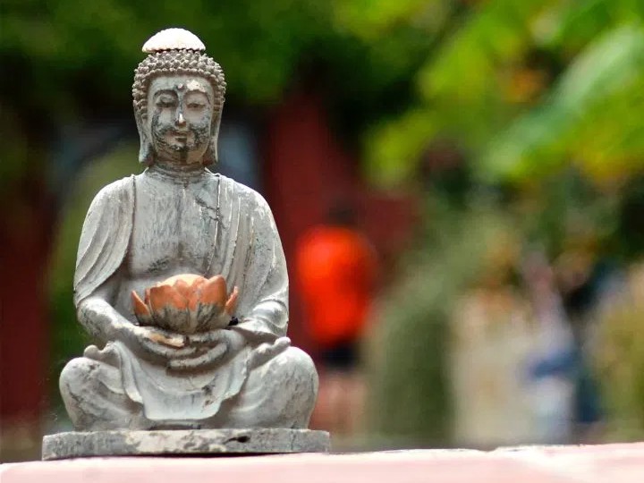 jnu vc santishree