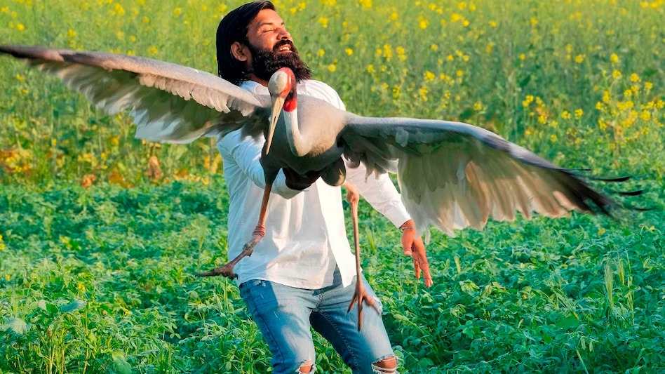 The bond between Arif and Sarus crane