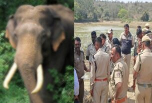 Elephant killed two women in Hosur