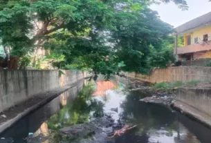 Chennai Canal Restore Work
