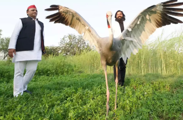 The bond between Arif and Sarus crane