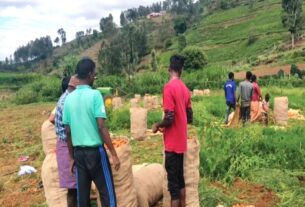 Fall in Carrot prices Farmers are worries in Kotagiri