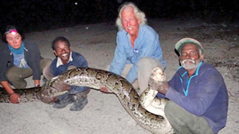 tribesmen from chengalpattu best python hunters padmasri award