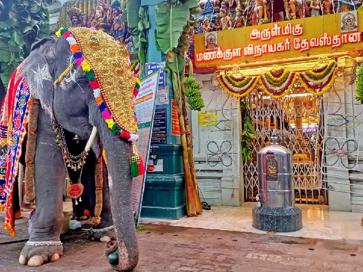 the reason behind elephant lakshmi dead