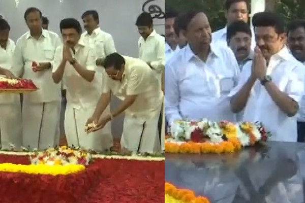 mkstalin give tree plant as his birthday gift