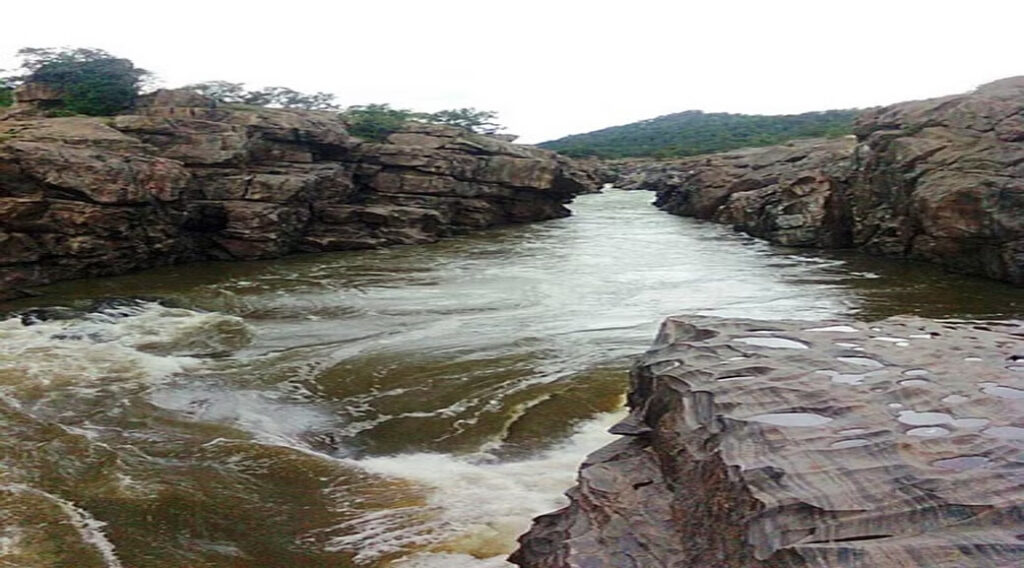 Mekedatu dam project should be thwarted