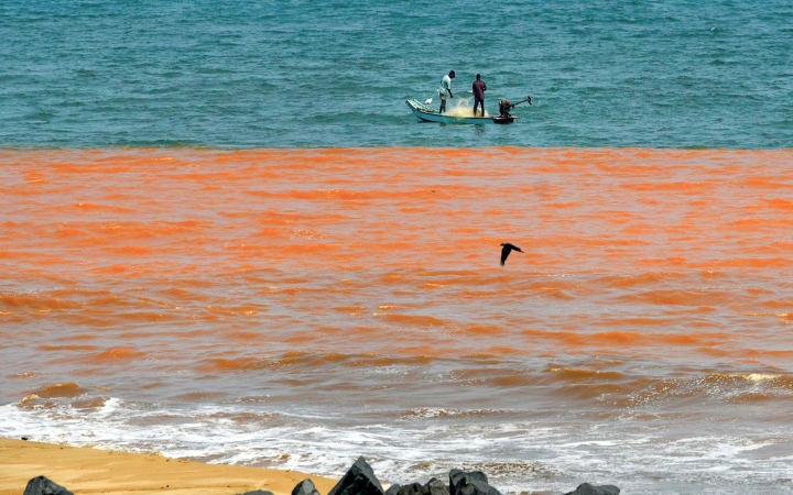 puducherry beach turns red