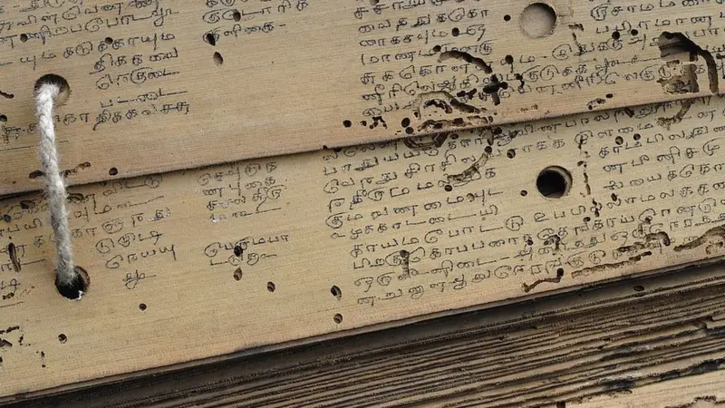 Tamil and its spin-off Dravidian languages