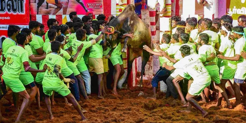 Udhayanidhi inaugurates Alanganallur Jallikattu