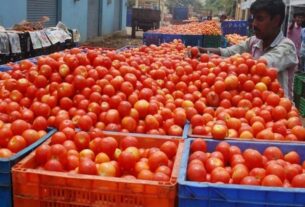tomato price hike in chennai koyambedu market on today