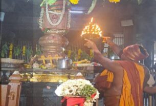 nellaiyappar temple aadipura festival