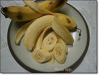 Khasiat buah pisang