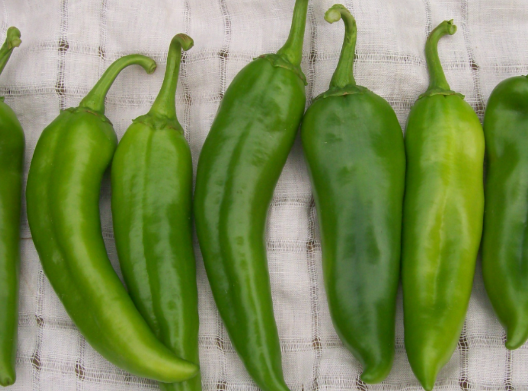 Anaheim_royaltyAndSplit_base_test