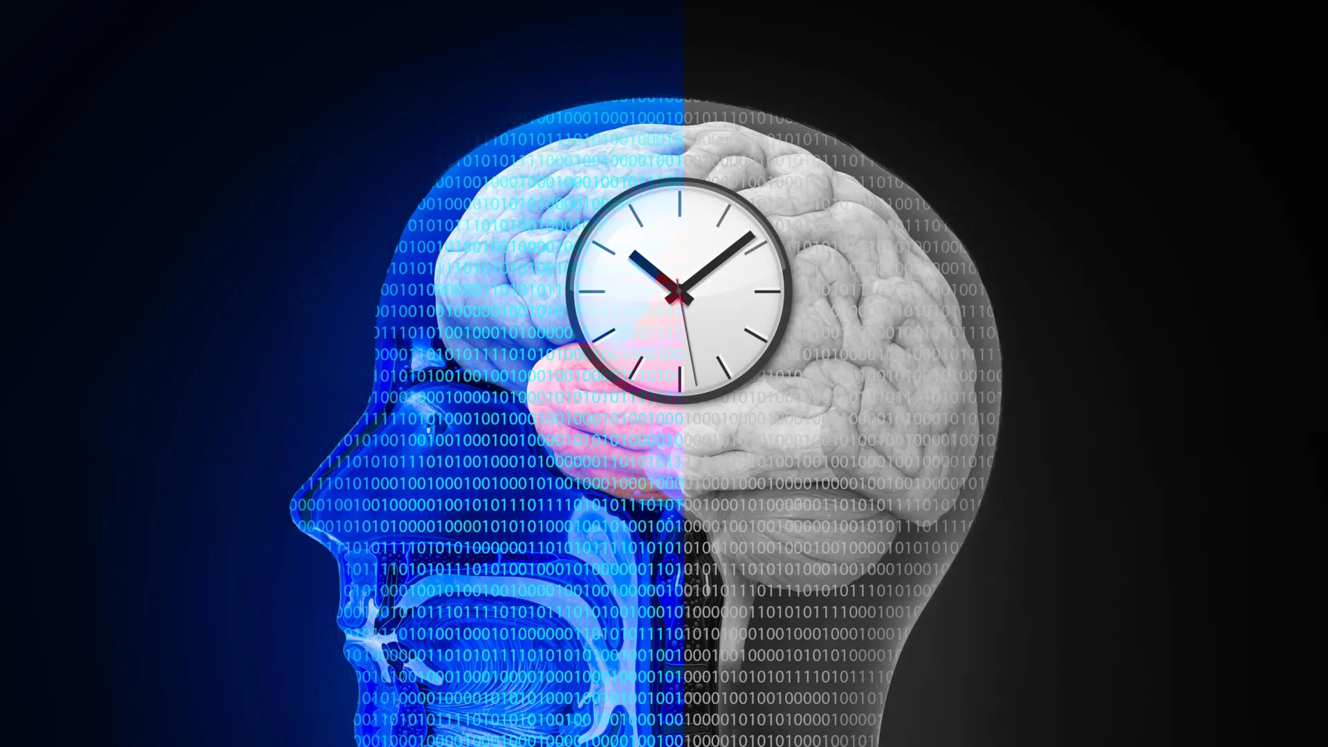 Healing After Stroke: The Power of the Brain’s Internal Clock